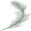 Birds Of A Feather logo