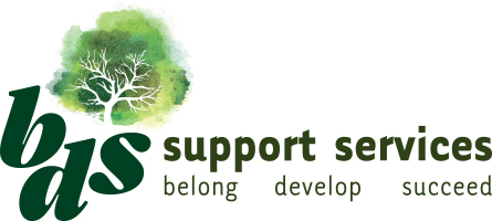 BDS logo