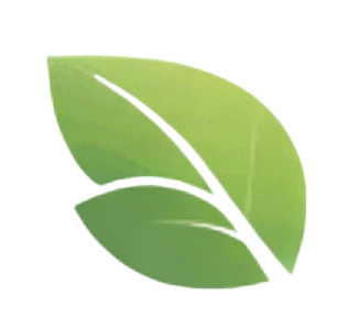 New Leaf Care logo