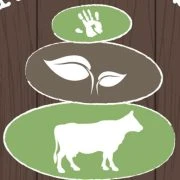 Pleasant Sense Therapy logo