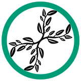Sage Values logo
