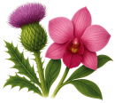 Saltire Care logo