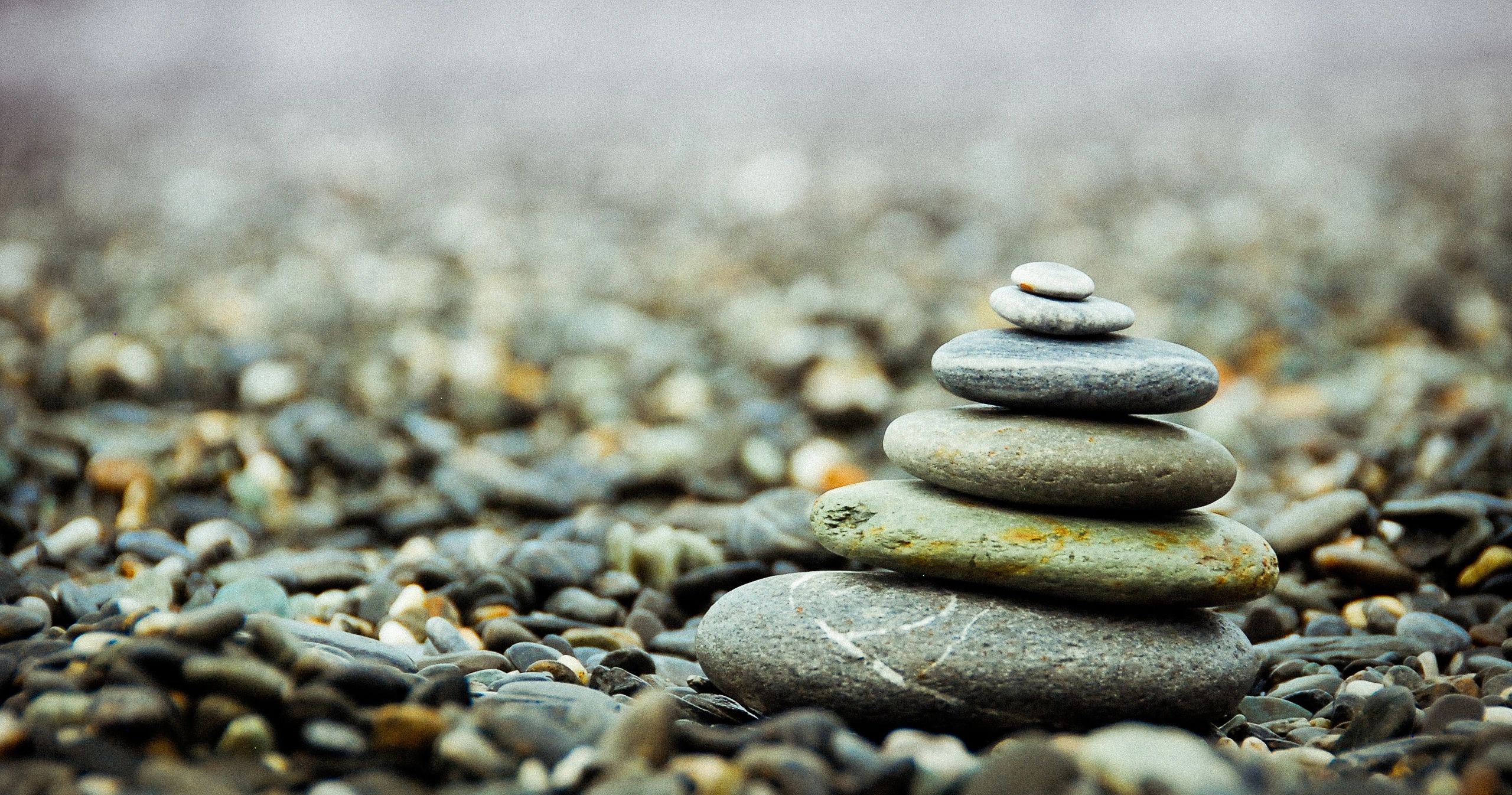 Zen Counselling & Psychotherapy logo