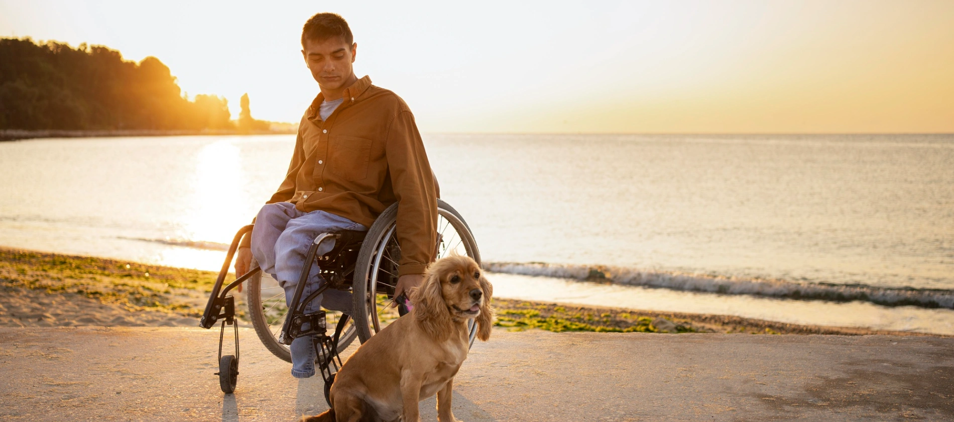 Assistance Dog Support in Rushforth, NSW
