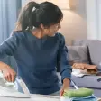 Domestic Assistance