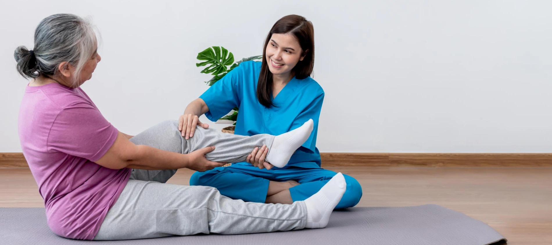 Therapy Services in Rushforth, NSW