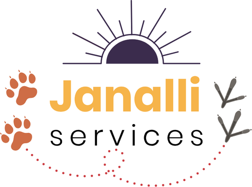 Janalli Services logo