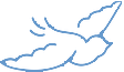 Beyond Limitations Care logo