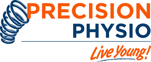 Precision Physio Mount Druitt logo