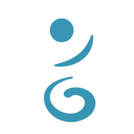 The OT Wellness Group - OT Driving Assessments and Complex Report Writing logo
