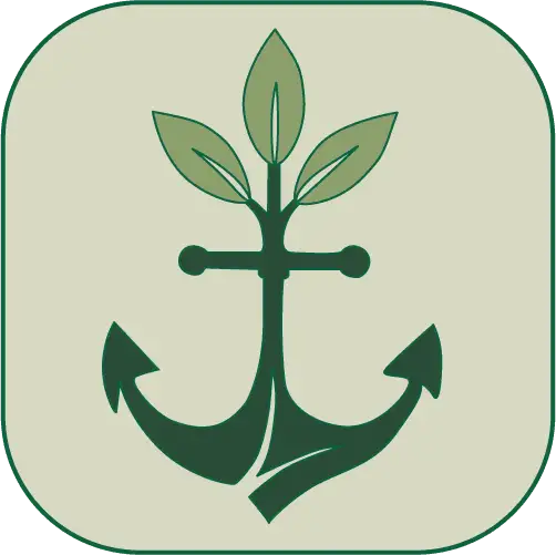 Anchor and Rise Support Services logo