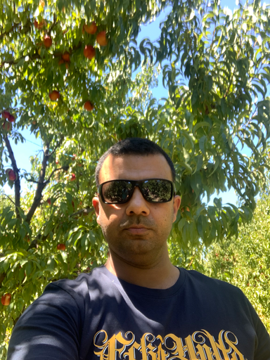 Varinder S